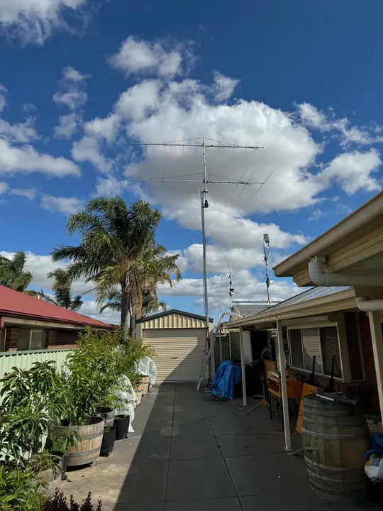Yagi above the garden